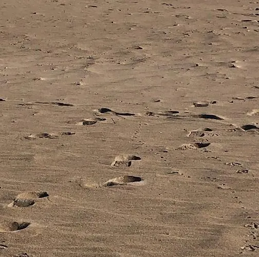 De Jardines Apartment